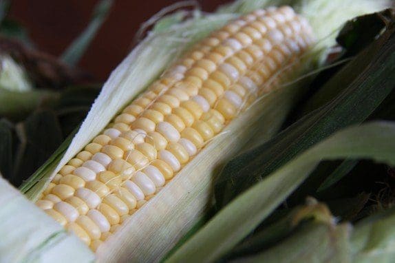 Pahl's Homegrown Sweet Corn