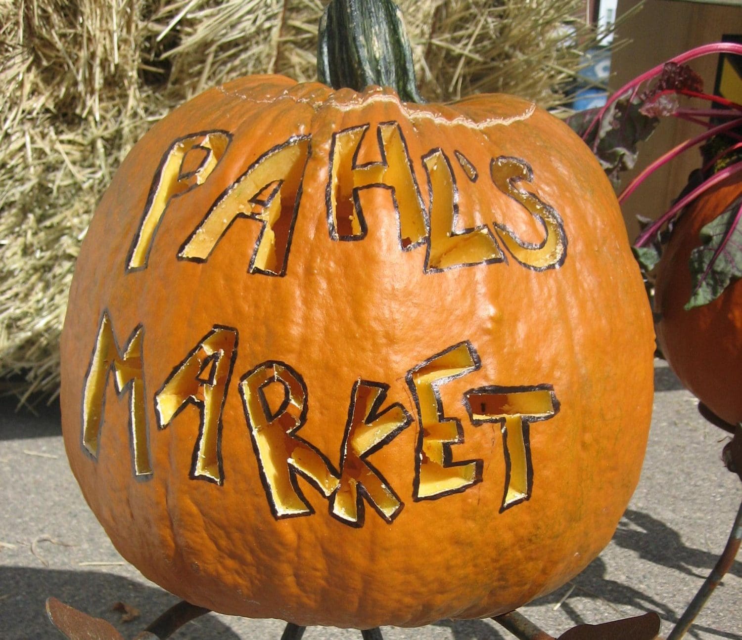 Pahl's Pumpkin Carving
