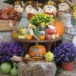 Fall into Pahl's