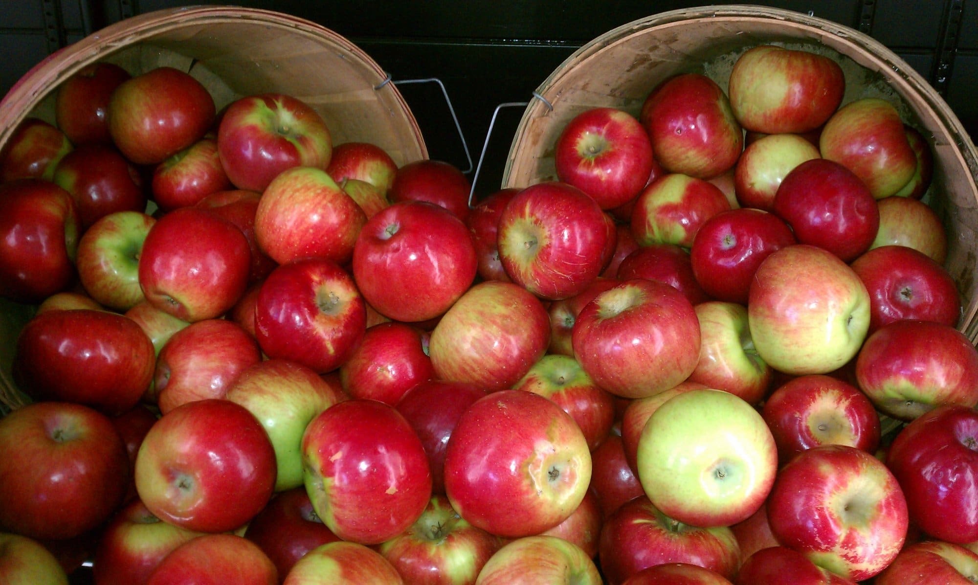 Honeycrisp or Cortland Apples - Pahl's Market - Apple Valley, MN