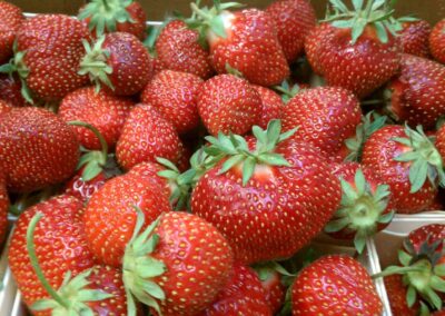 Strawberries