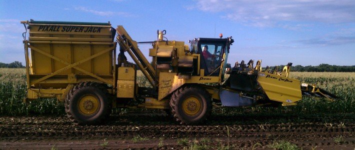 Harvest Season is Just Around the Corner Pahl's Sweet Corn Picker