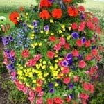 Pahl's Moss Basket Days
