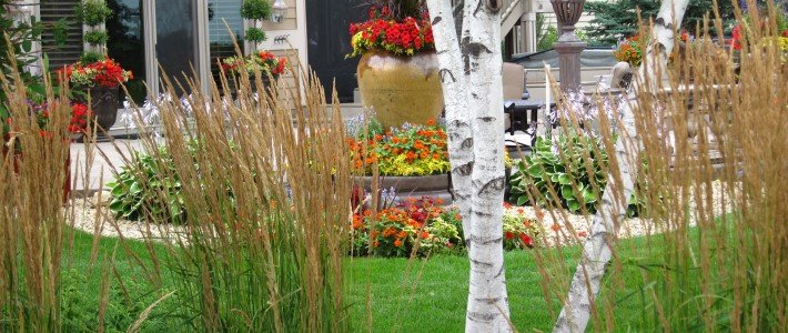 Pahl’s Landscape Design & Installation in Lakeville Pahl's Landscape Design & Installation in Lakeville