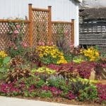 Pahl's Flower Bed Designed & Installed in Rosemount