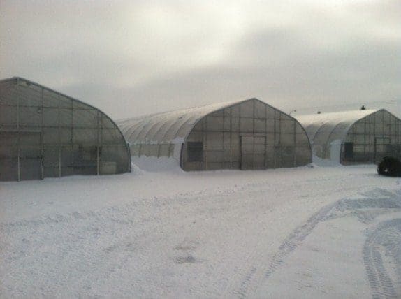 Pahl's Market New Greenhouses