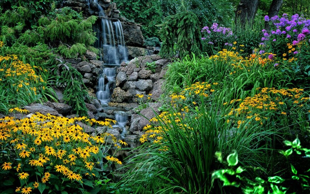 Landscape – Water Feature with Plantings in Burnsville