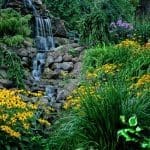 Landscaping Water feature with Perennial Plantings