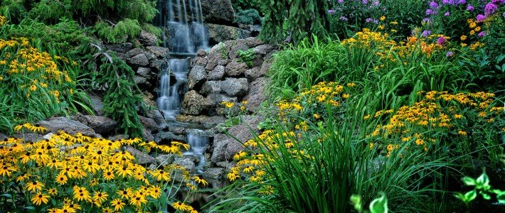 Landscape – Water Feature with Plantings in Burnsville Landscaping Water feature with Perennial Plantings