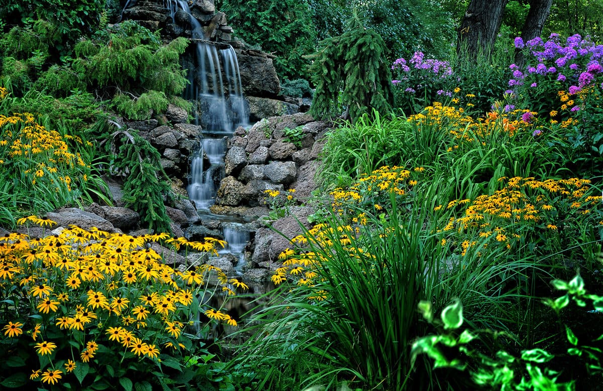 Landscaping Water feature with Perennial Plantings