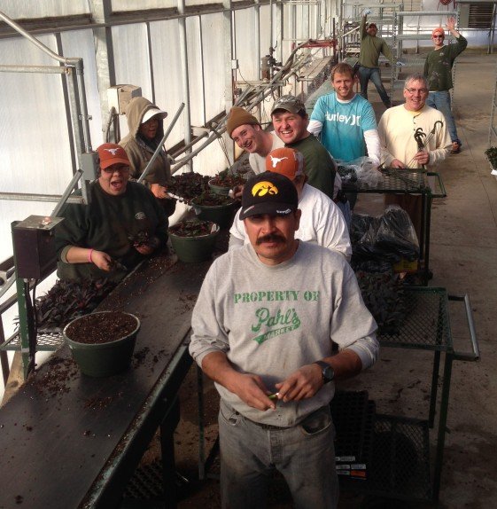Pahl's Market Planting Crew