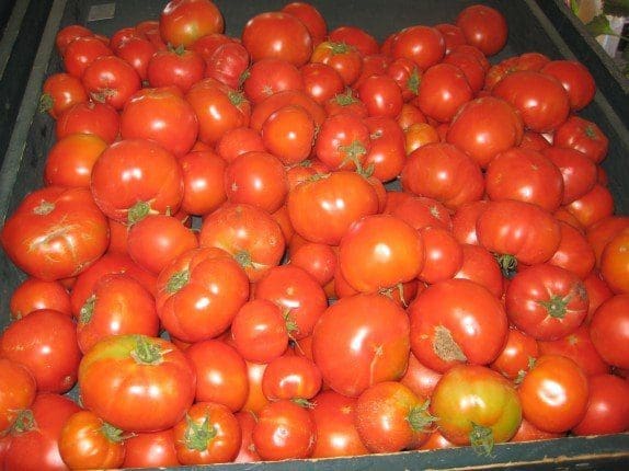 Pahl's Homegrown Tomatoes
