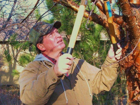Pahl’s Market Featured Employee: David Schreier